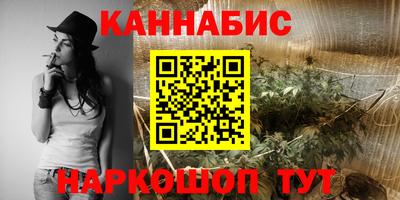 дмт Дубна