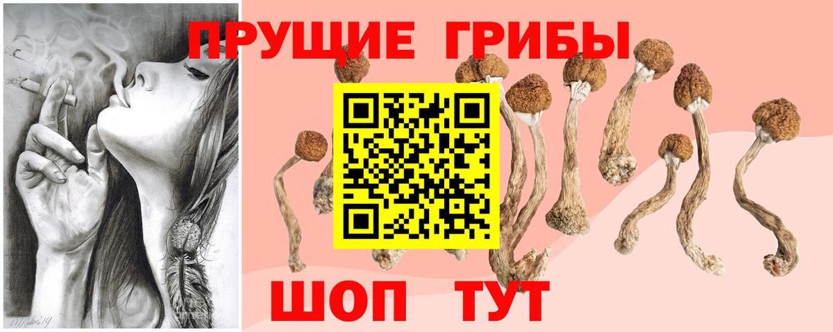 Ульяновск  Галлюциногенные грибы MAGIC MUSHROOMS  Вход с VPN 