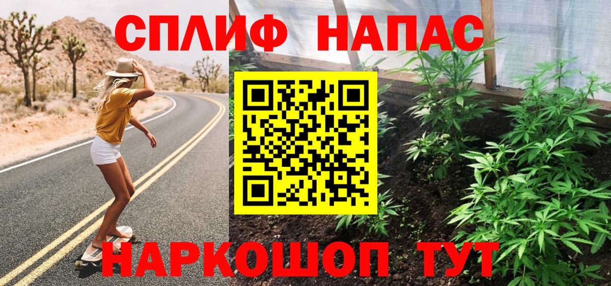Канабис семена  Бошки Шишки тримм  Канабис семена  Ульяновск  Вход с VPN 